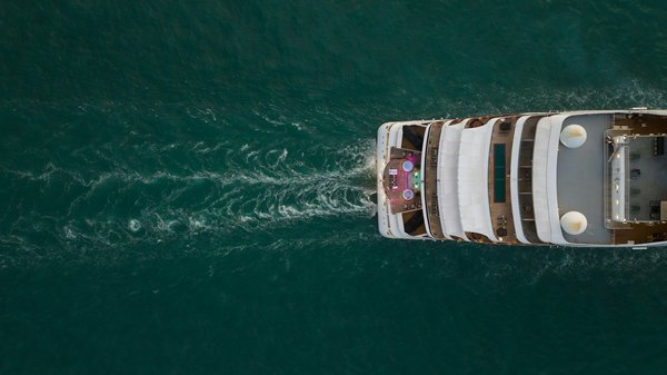Croisière de rêve à votre portée pour une aventure unique